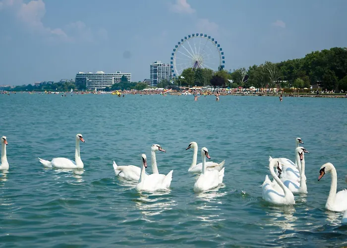 In - Balaton 35627